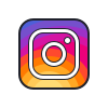 icons8 instagram 100